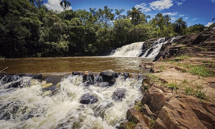 Cássia dos Coqueiros